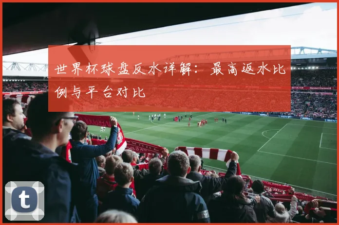 世界杯球盘反水详解：最高返水比例与平台对比