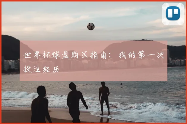 世界杯球盘购买指南：我的第一次投注经历