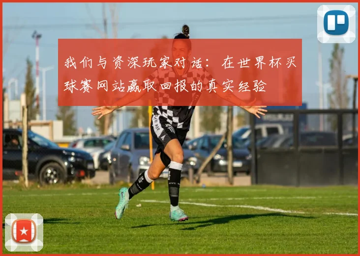 我们与资深玩家对话：在世界杯买球赛网站赢取回报的真实经验