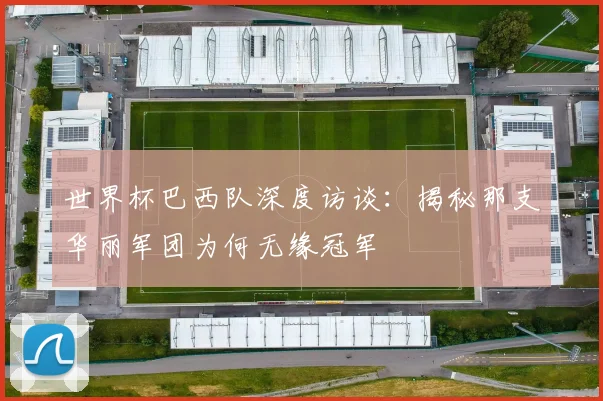 世界杯巴西队深度访谈：揭秘那支华丽军团为何无缘冠军